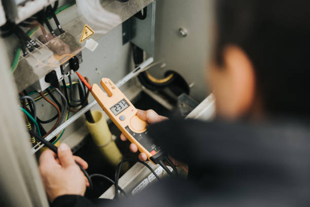 Best Electric Panel Repair  in West Dundee, IL